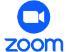 zoom logo